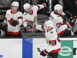 Senators Bruins Hockey