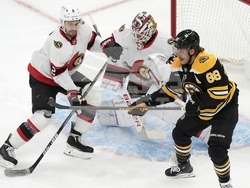 Senators Bruins Hockey