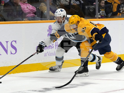 Utah Predators Hockey