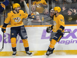 Utah Predators Hockey