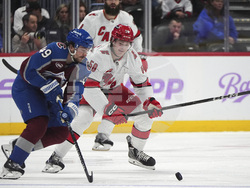 Hurricanes Avalanche Hockey