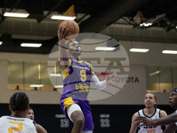 Stars Lakers Basketball