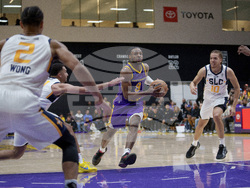 Stars Lakers Basketball