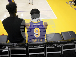 Stars Lakers Basketball