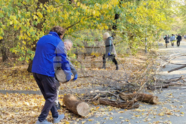 Пловдив - парк „Лаута” - акция - почистване