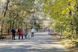 Пловдив - парк „Лаута” - акция - почистване