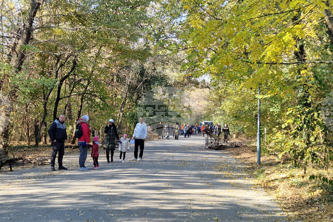 Експерти обследваха лесопарк "Лаута" в Пловдив, препоръчват възобновяване на дървесната растителност