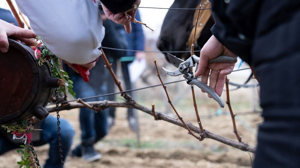 Община Благоевград: Празник обединява ценители на виното в благоевградското село Дъбрава