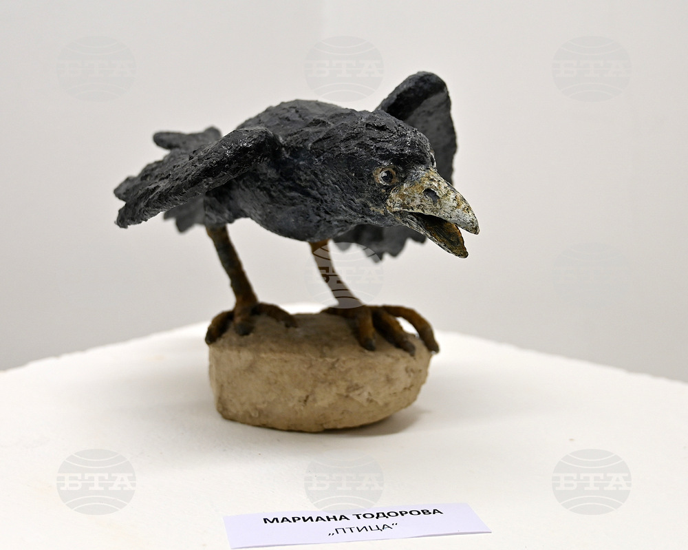 Монтана - изложба