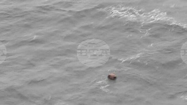 Турция ще работи с Румъния и България срещу заплахата от плаващи мини в Черно море