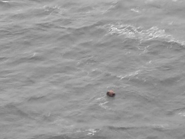 Министерство на отбраната: Военнослужещи от ВМС унищожиха плаваща мина