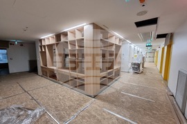 Румъния - Букурещ - детска онкологична болница изградена с дарения