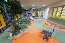 Румъния - Букурещ - детска онкологична болница изградена с дарения