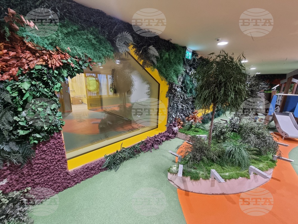 Румъния - Букурещ - детска онкологична болница изградена с дарения