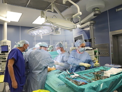 Снимка: ВМА