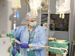 Снимка: ВМА