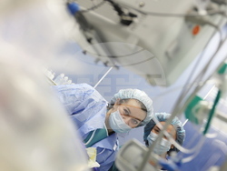 Снимка: ВМА