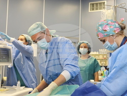 Снимка: ВМА