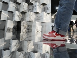 COP29 Climate Summit