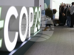 COP29 Climate Summit