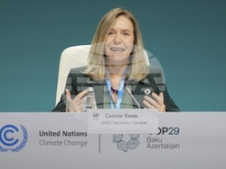 COP29 Climate Summit