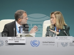 COP29 Climate Summit