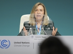 COP29 Climate Summit
