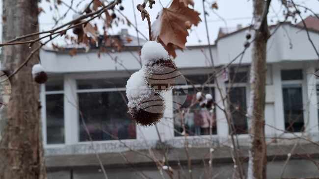 В Кюстендилско сняг има само по високите места, съобщиха от Областното пътно управление