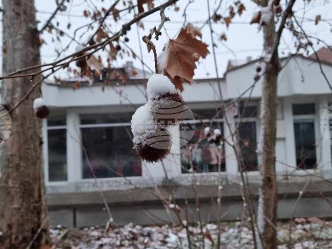 В Кюстендилско сняг има само по високите места, съобщиха от Областното пътно управление
