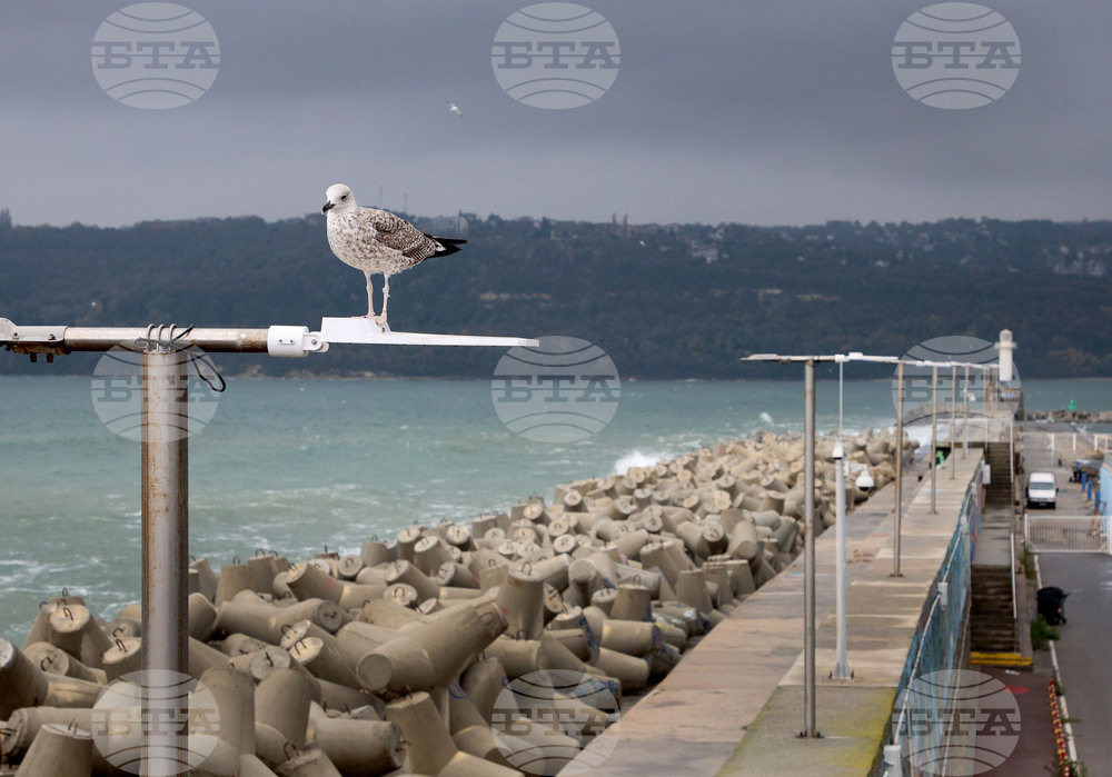 Observances: October 31