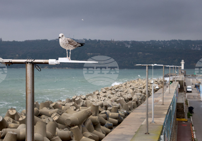 Observances: October 31