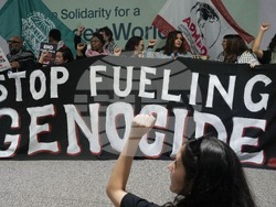 COP29 Climate Summit