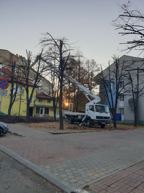 Граждани на Самоков, живеещи в близост до Районното управление, организираха изсичане на изсъхнали клони и дървета