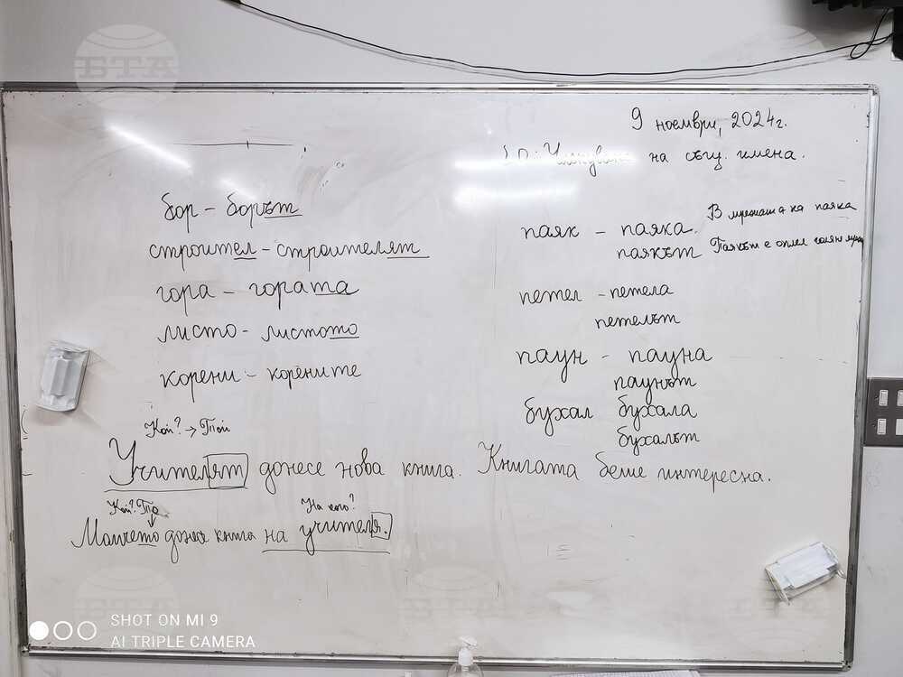 Ученици от училище „Д-р Петър Берон“ в Рединг имаха уроци за членуване на съществителни имена и степенуване на прилагателни имена