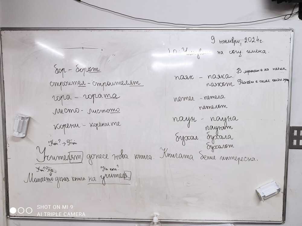 Ученици от училище „Д-р Петър Берон“ в Рединг имаха уроци за членуване на съществителни имена и степенуване на прилагателни имена
