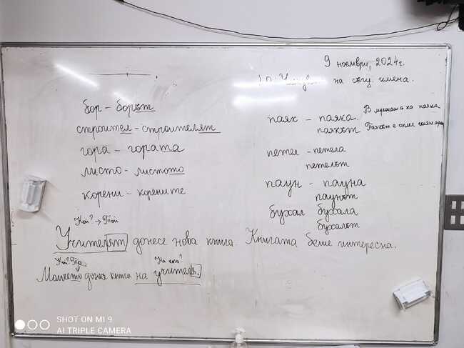 Ученици от училище „Д-р Петър Берон“ в Рединг имаха уроци за членуване на съществителни имена и степенуване на прилагателни имена