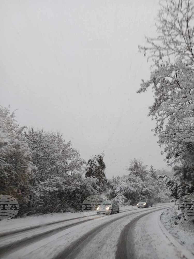 Ограничено е движението за тежкотоварни автомобили през прохода Превала до почистване на пътното платно от снега