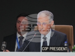 COP29 Climate Summit