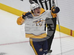 Predators Avalanche Hockey