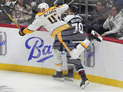 Predators Avalanche Hockey