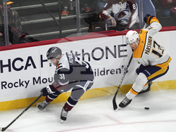 Predators Avalanche Hockey