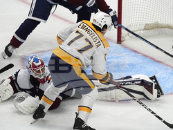 Predators Avalanche Hockey