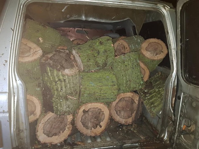 Североизточно държавно предприятие ДП Шумен: С понижението на температурите през последните дни зачестяват и случаите на бракониерски набези в горите