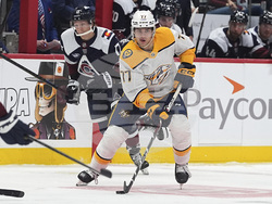 Predators Avalanche Hockey