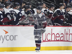 Predators Avalanche Hockey