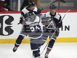 Predators Avalanche Hockey