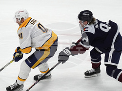Predators Avalanche Hockey