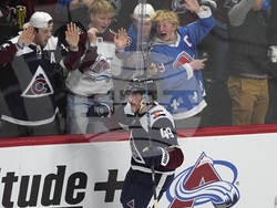 Predators Avalanche Hockey