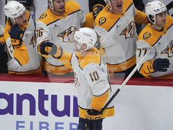 Predators Avalanche Hockey