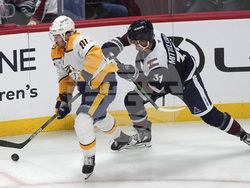 Predators Avalanche Hockey